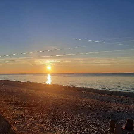 Osada Szwedzka Standard