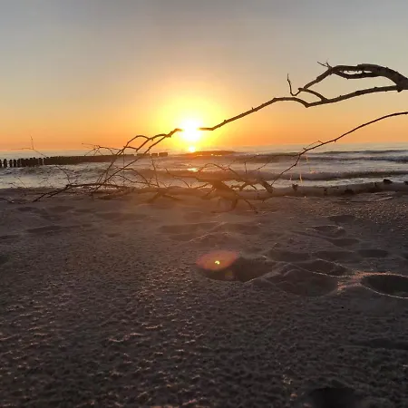 Osada Szwedzka Standard *