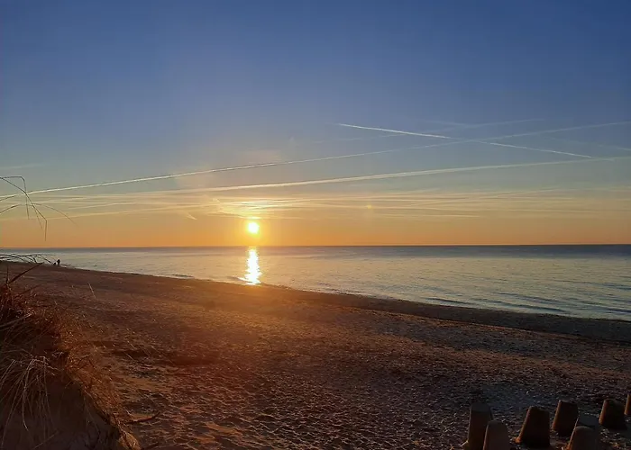 Osada Szwedzka Standard