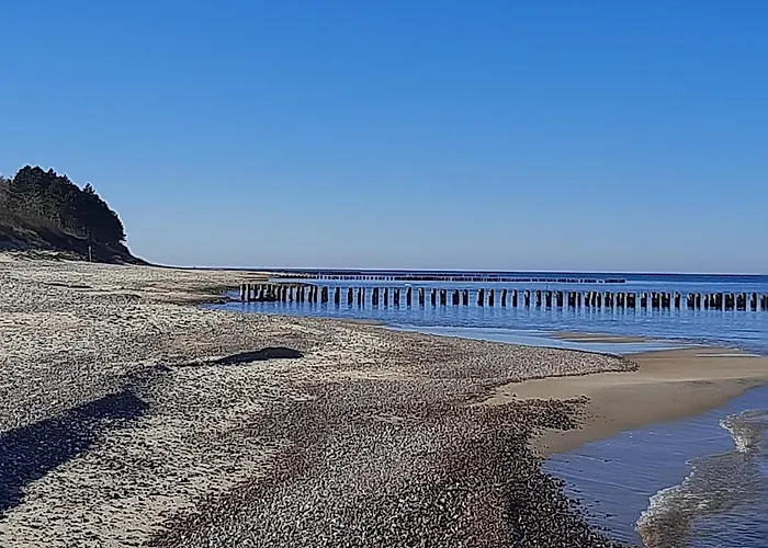 Osada Szwedzka Standard Rusinowo (Slawno)